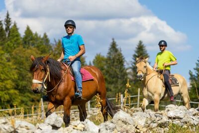 BALADE À CHEVAL - INDIVIDUEL 1h30