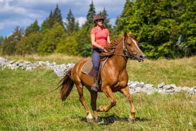 Balade à cheval - Galot