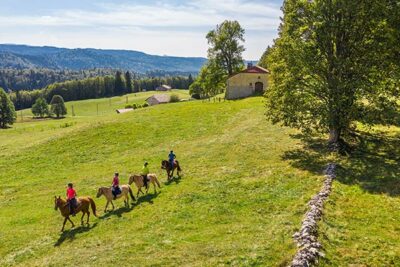 BALADE À CHEVAL - COLLECTIF 1h
