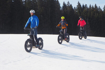 LOCATION DE TROTTINETTE - AVEC GUIDE 1H30