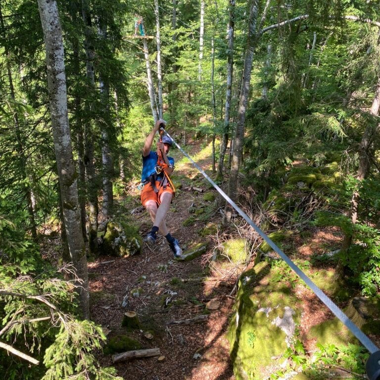 66e20a72-7534-4d5d-85a2-c2175c6dcf88