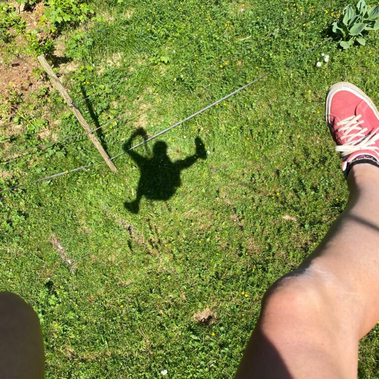 83993776-61d1-4363-9708-9aa4dca8b7f1