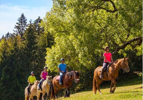 EQUESTRE (1)