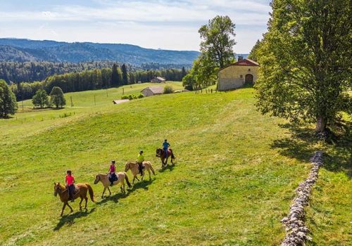 EQUESTRE (2)