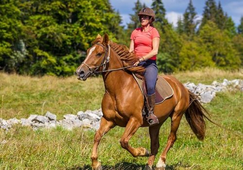 EQUESTRE